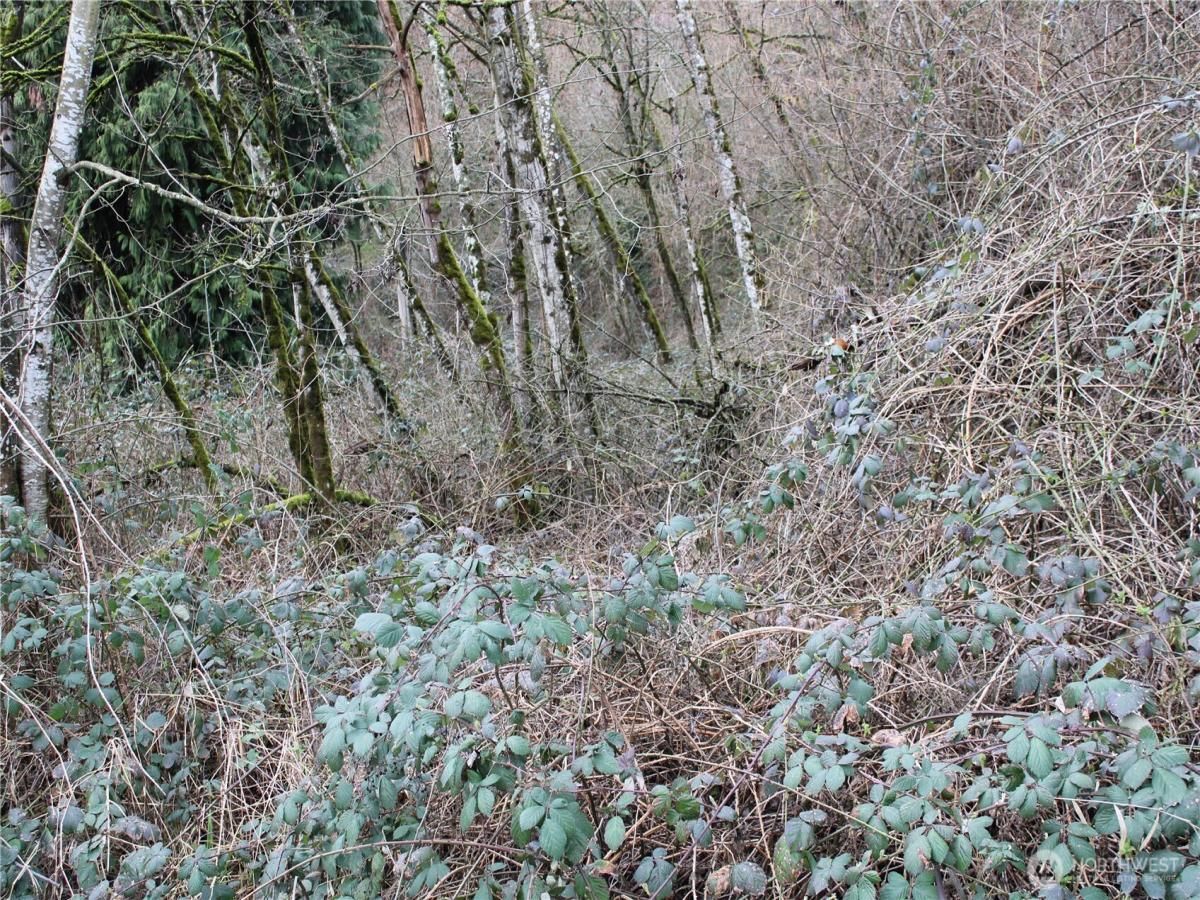 MLS #NWM2342631 image #0