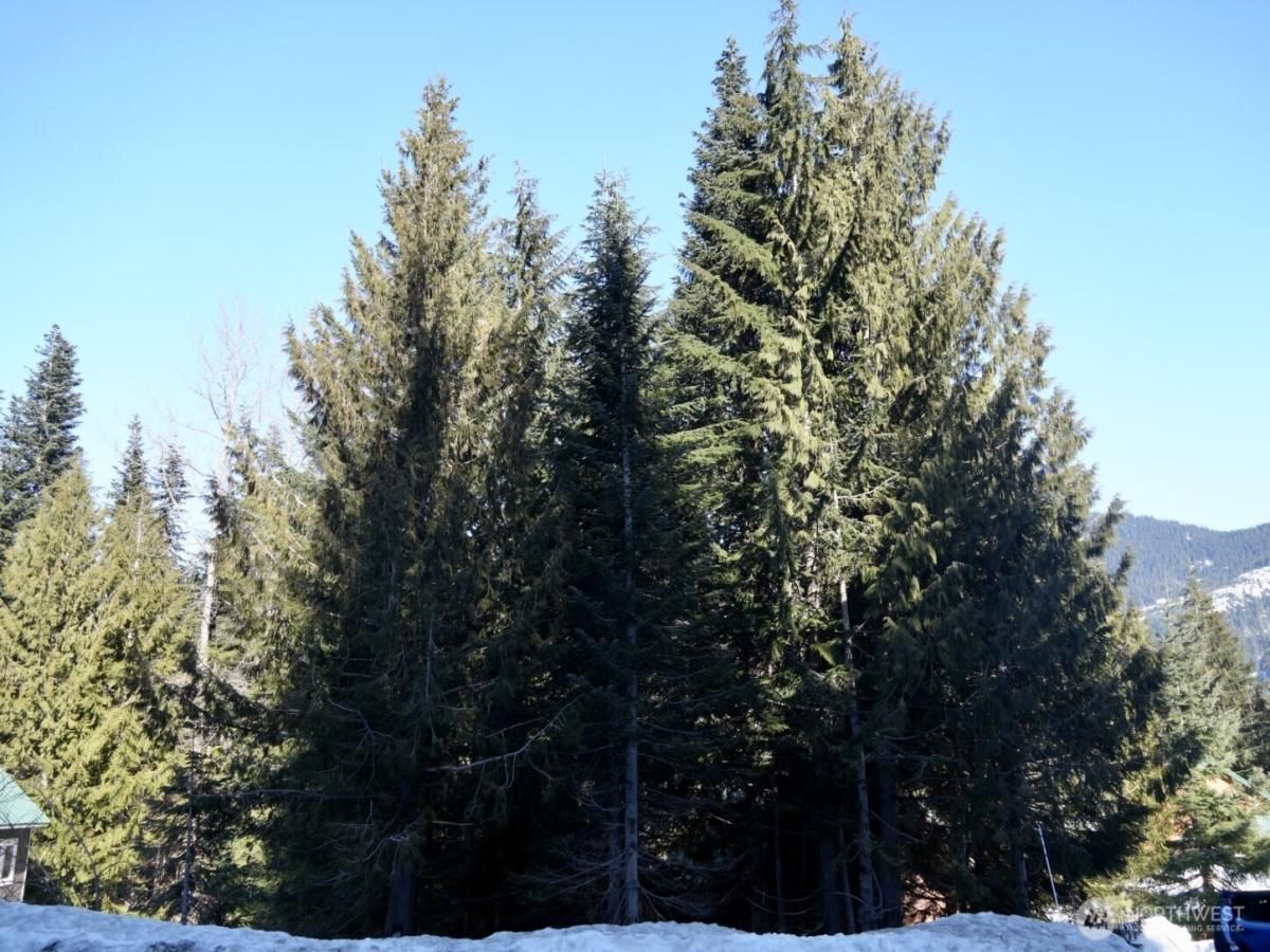 MLS #NWM2342632 image #0