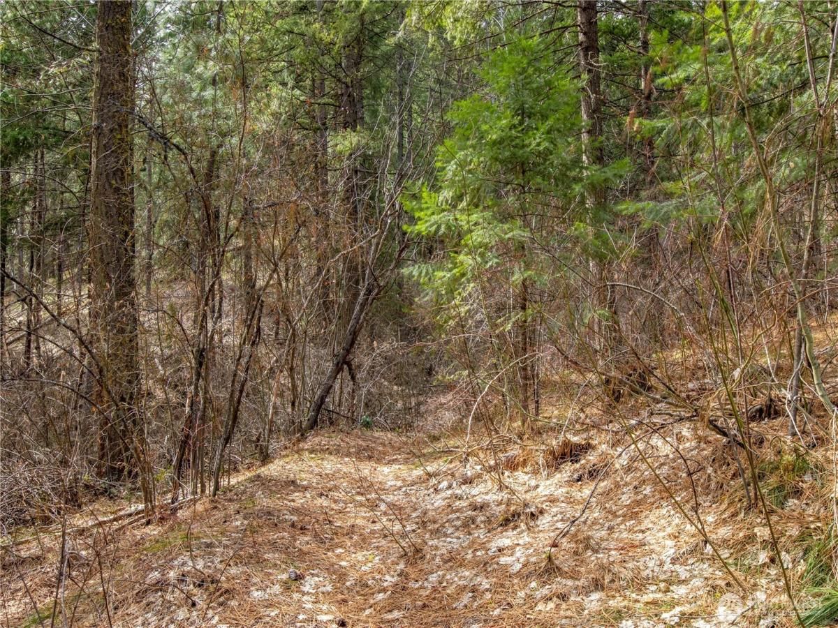 MLS #NWM2344162 image #0
