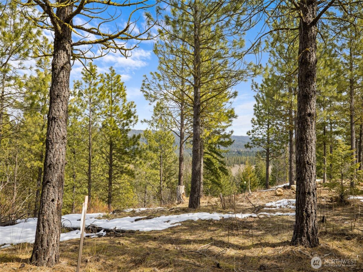 MLS #NWM2344222 image #0