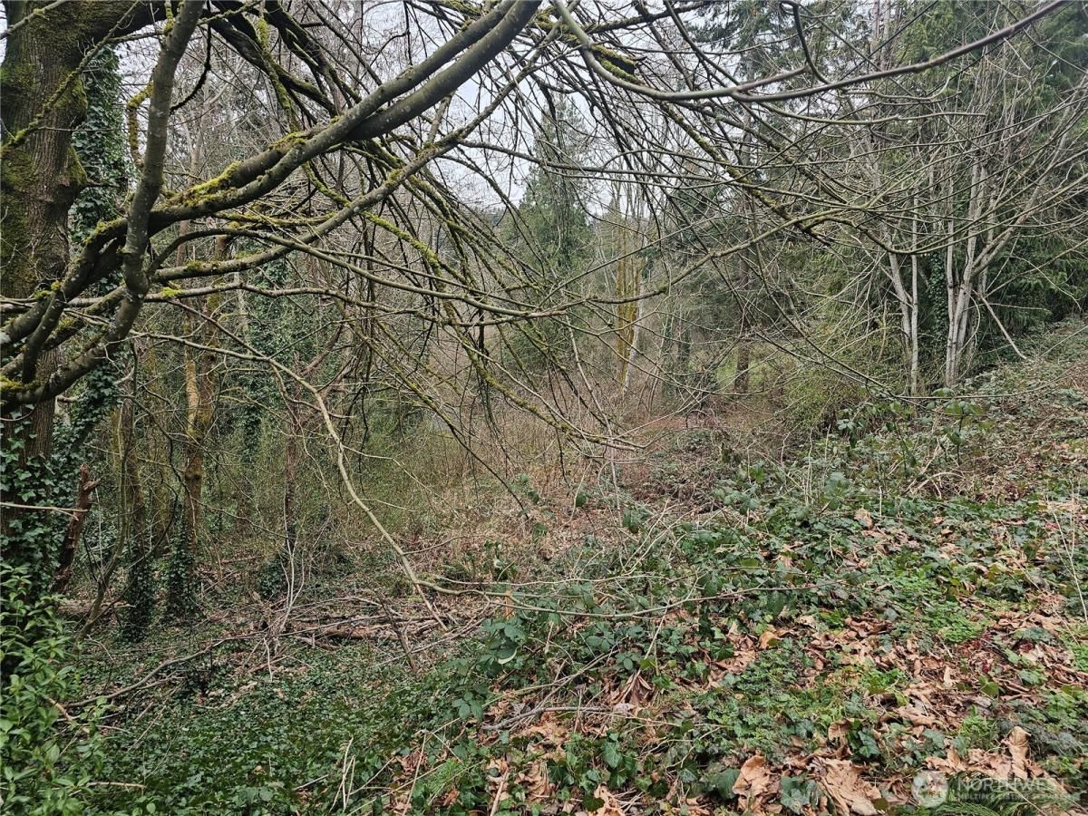 MLS #NWM2344682 image #0