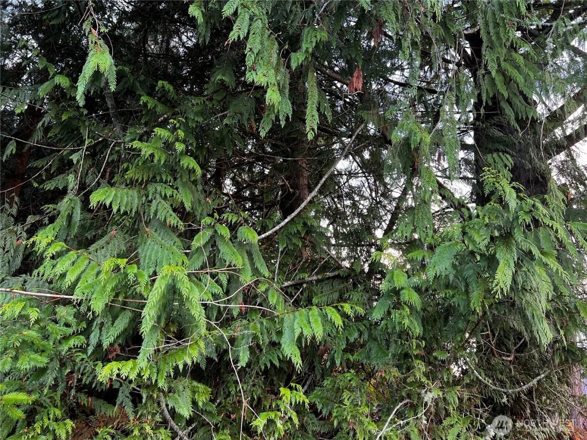 MLS #NWM2345168 image #0