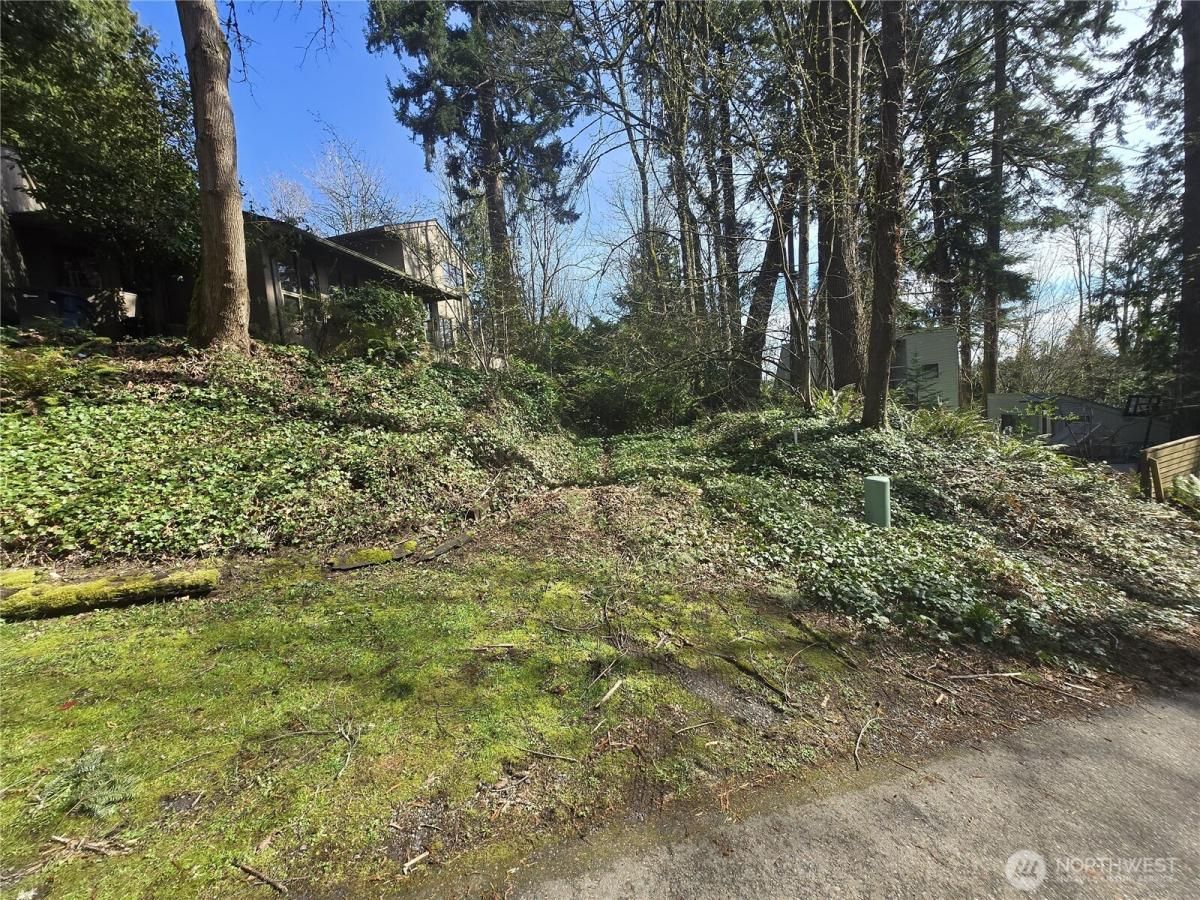 MLS #NWM2350073 image #0