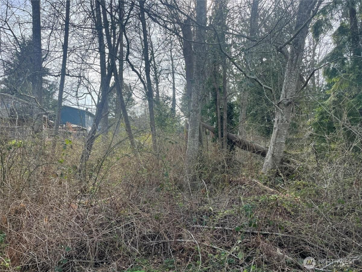 MLS #NWM2351540 image #0