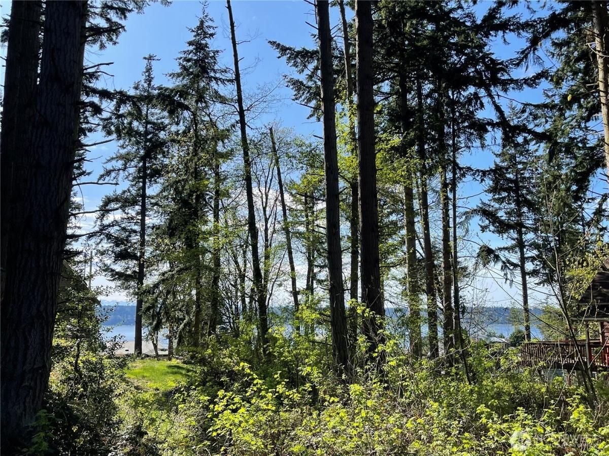 MLS #NWM2353730 image #0