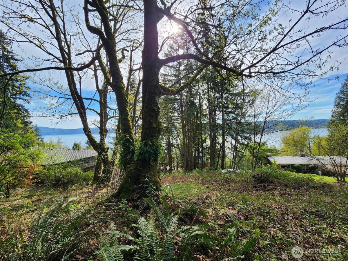 MLS #NWM2356224 image #0