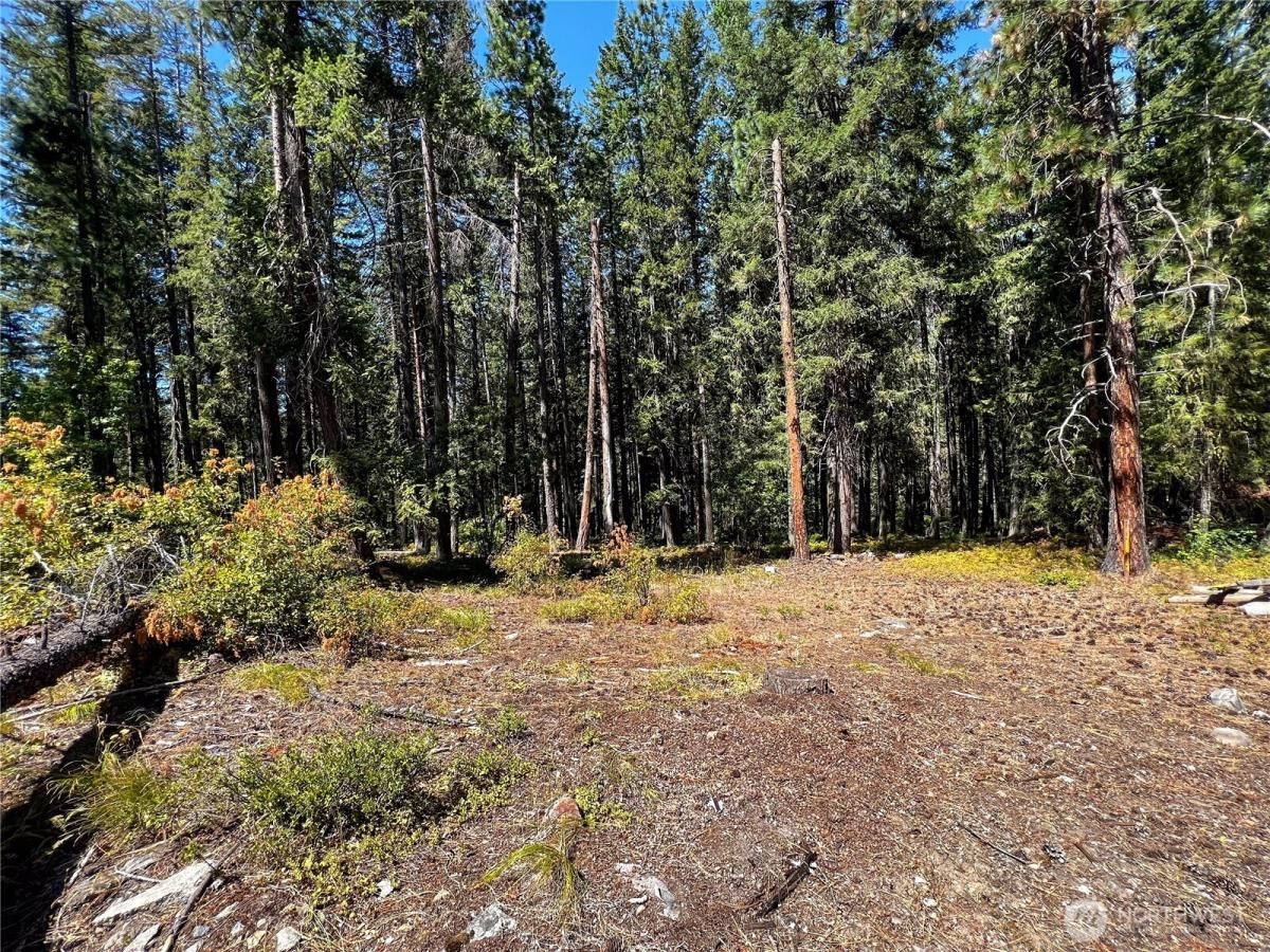 MLS #NWM2358279 image #0
