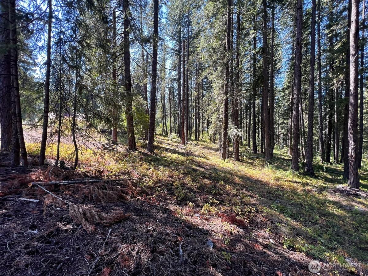 MLS #NWM2358311 image #0