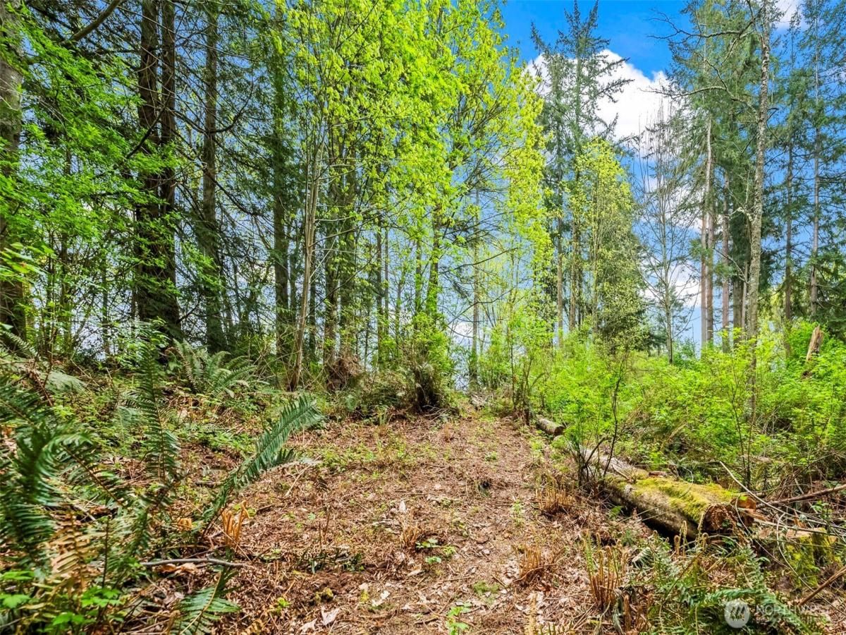 MLS #NWM2361616 image #0