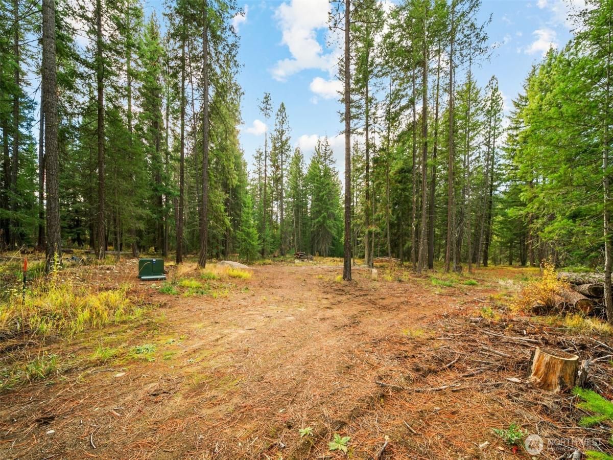 MLS #NWM2364577 image #0