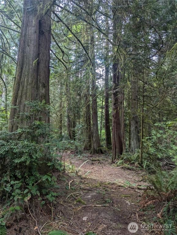 MLS #NWM2365054 image #0