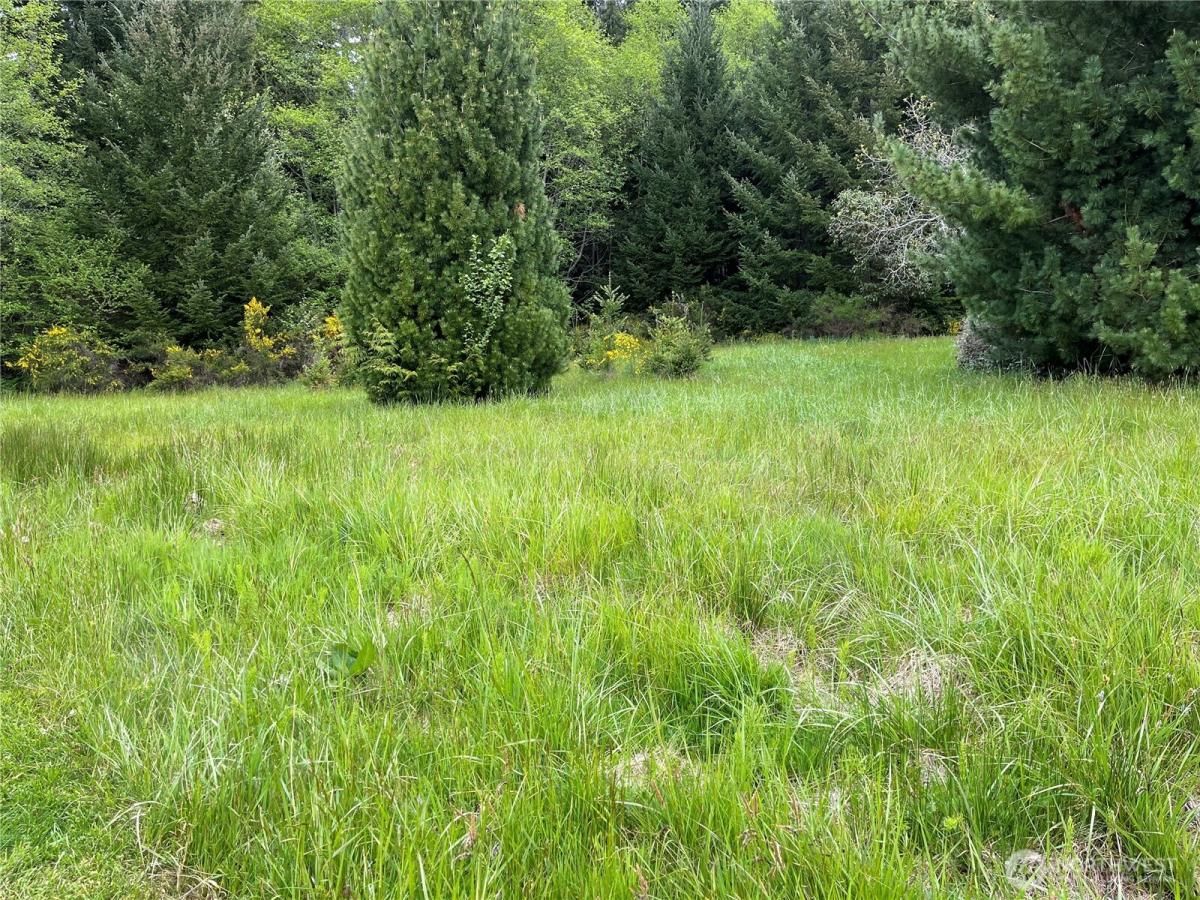 MLS #NWM2365351 image #0