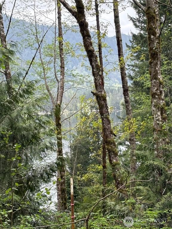 MLS #NWM2366254 image #0