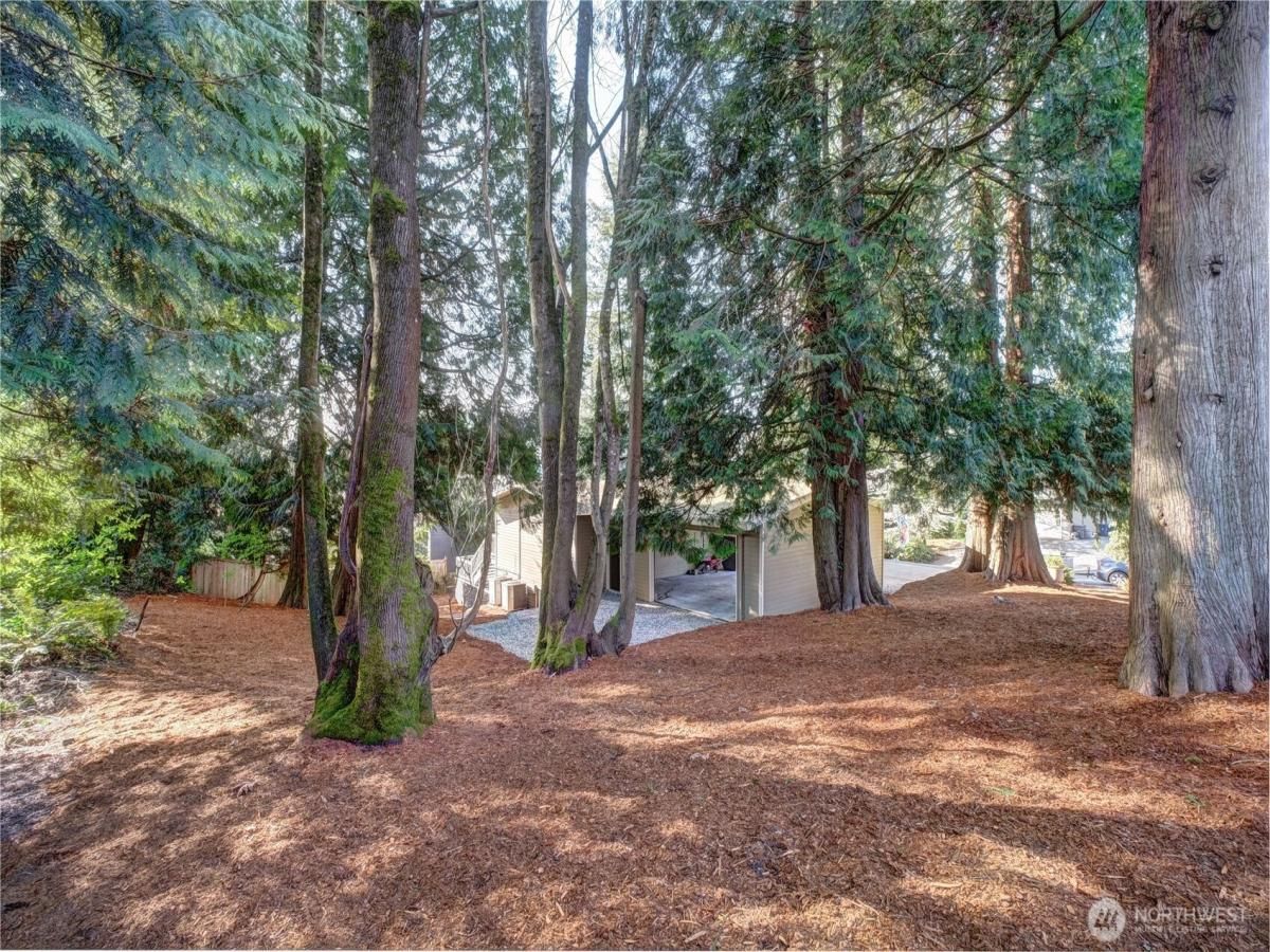 MLS #NWM2356529 image #0