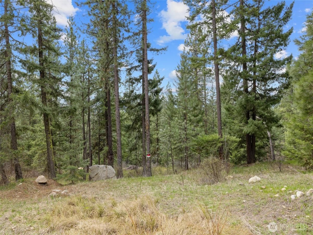 MLS #NWM2370265 image #0