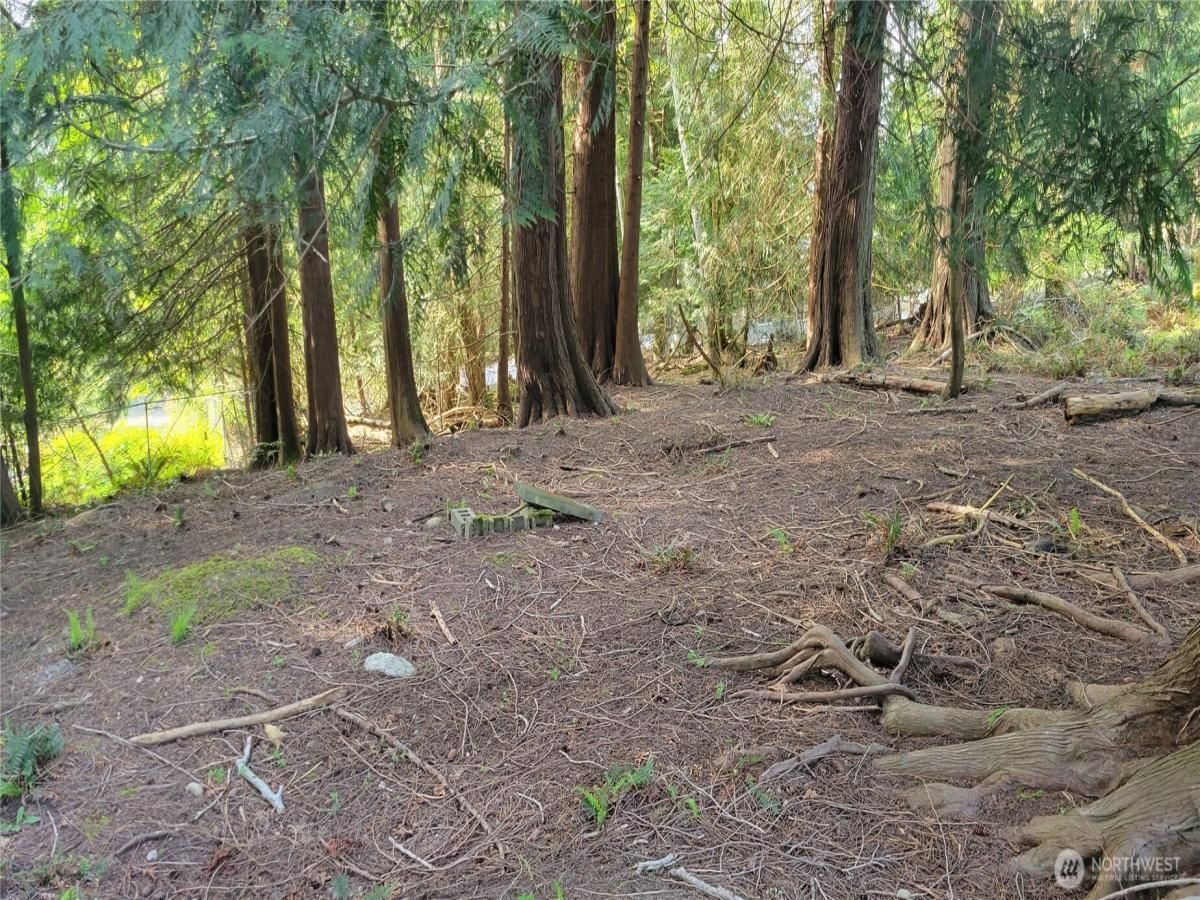 MLS #NWM2370643 image #0