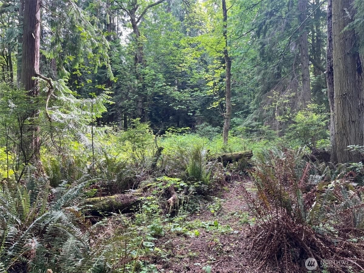 MLS #NWM2371032 image #0