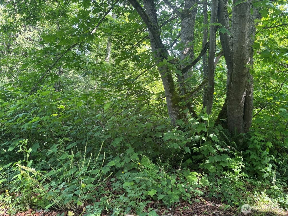 MLS #NWM2372421 image #0