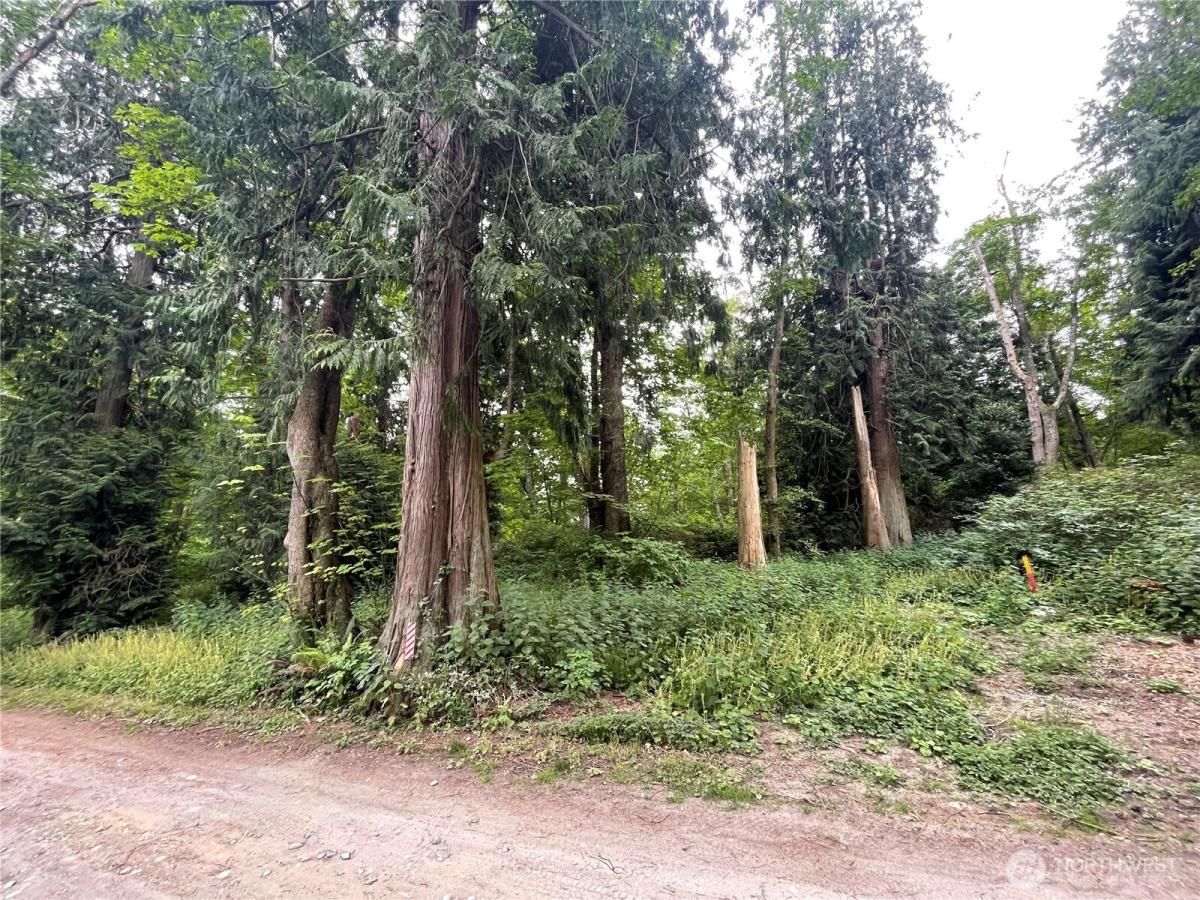 MLS #NWM2373243 image #0