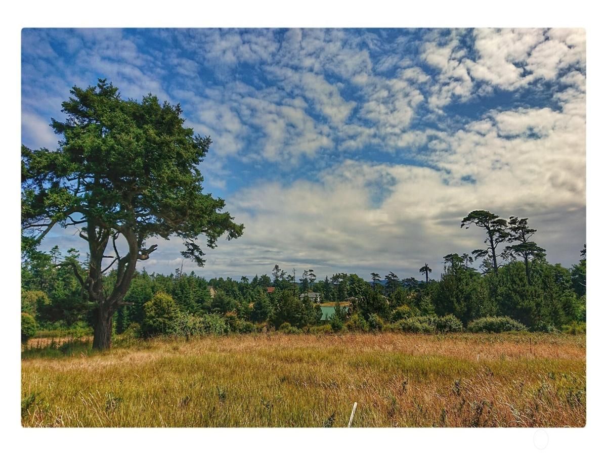MLS #NWM2373488 image #0