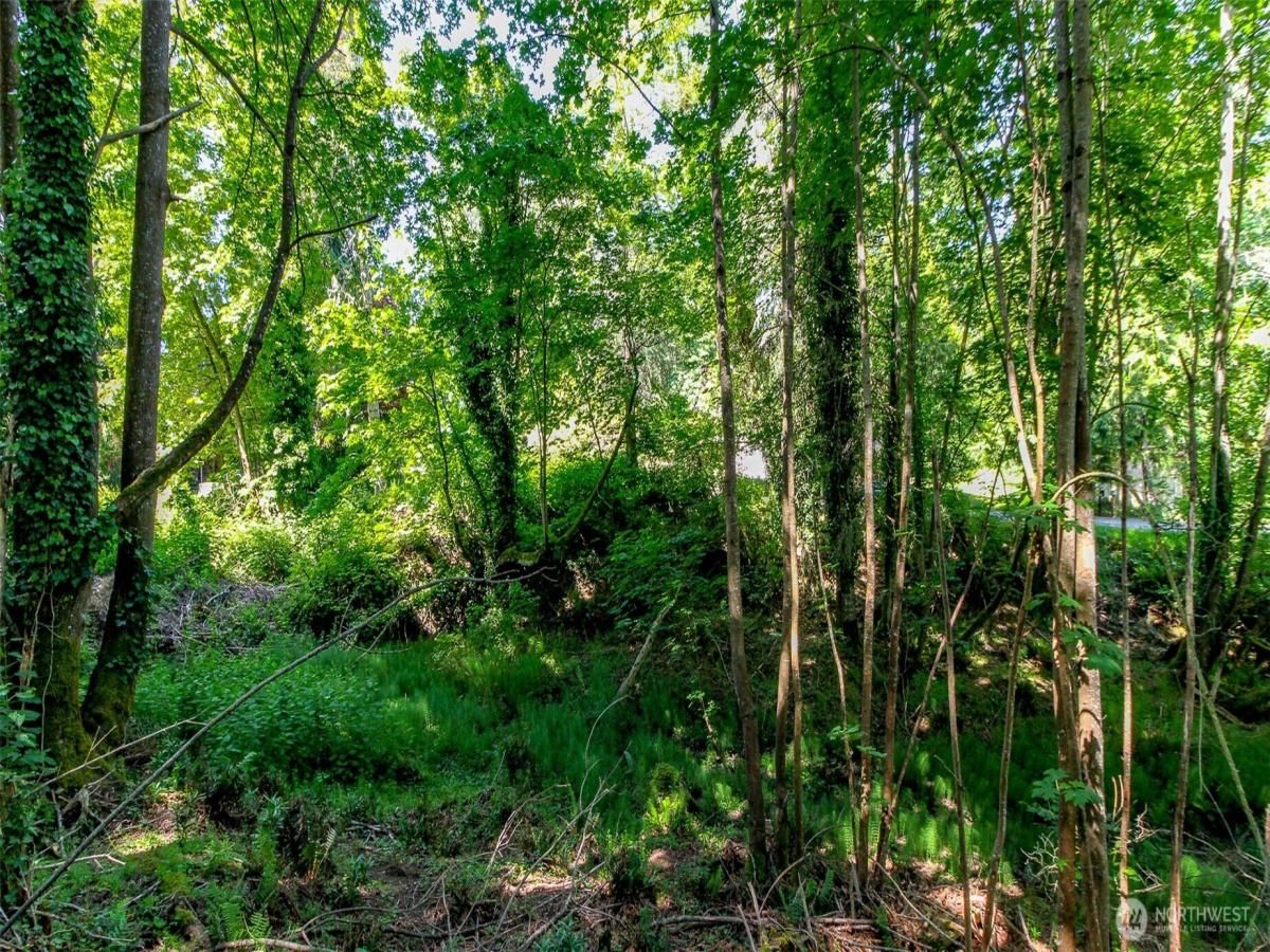 MLS #NWM2373603 image #0