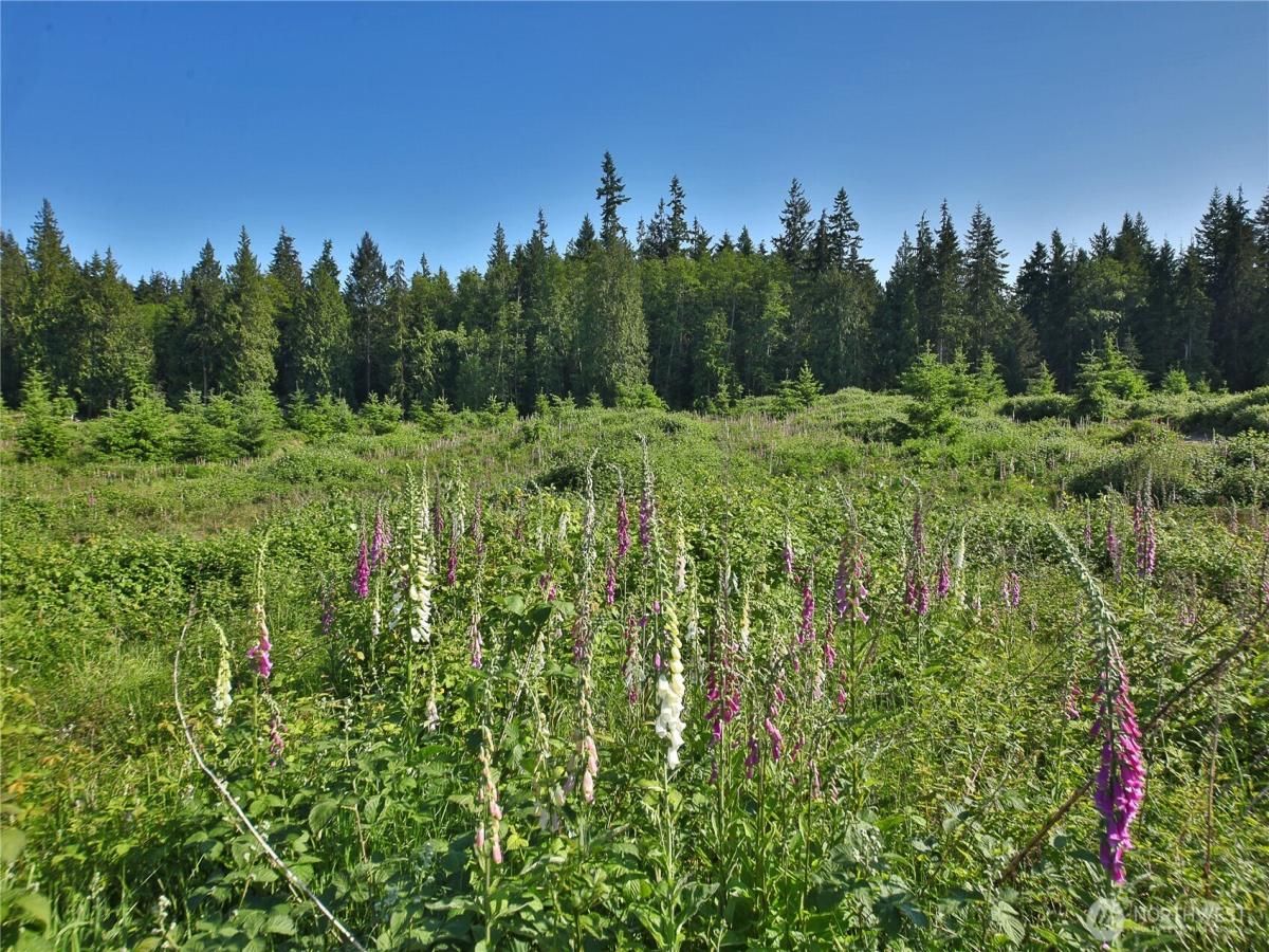 MLS #NWM2373623 image #0