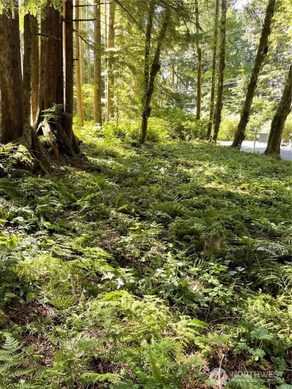 MLS #NWM2375031 image #0