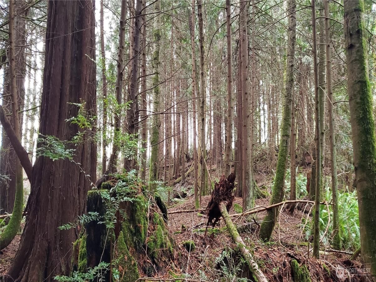 MLS #NWM2375489 image #0