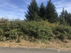 MLS #NWM2377874 image #0