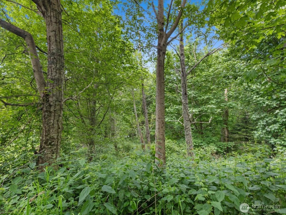 MLS #NWM2381869 image #0