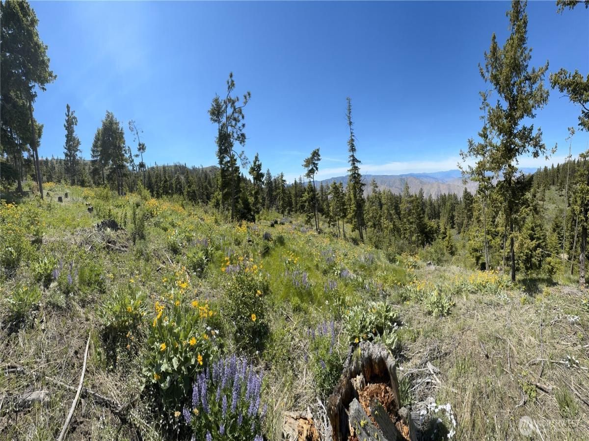 MLS #NWM2382392 image #0