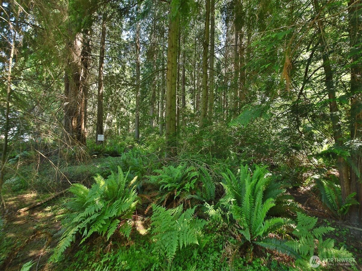 MLS #NWM2384399 image #0