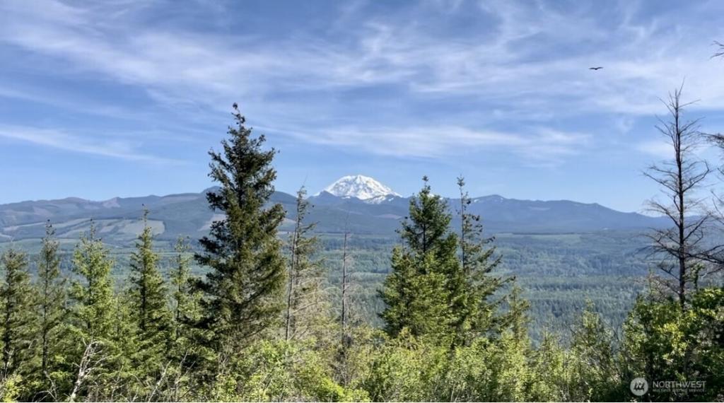 MLS #NWM2384887 image #0