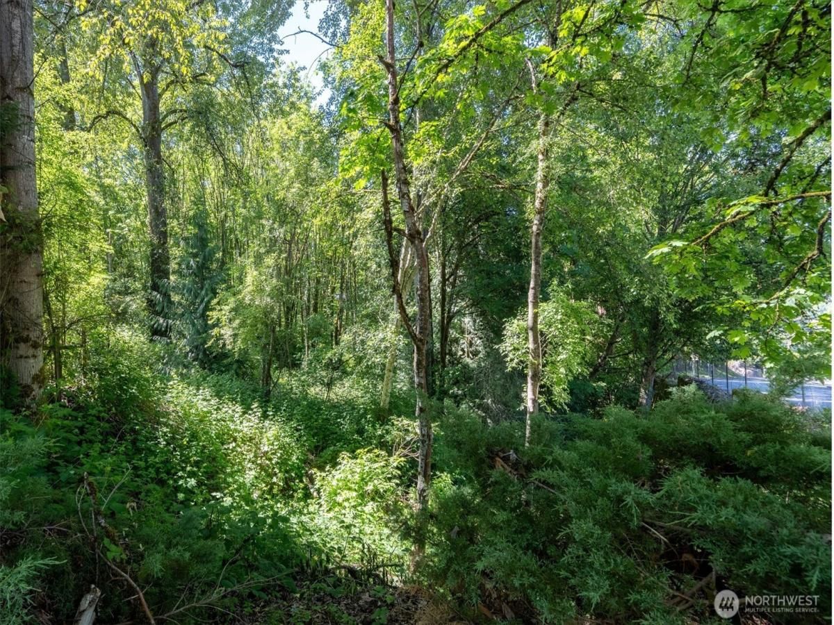 MLS #NWM2385505 image #0