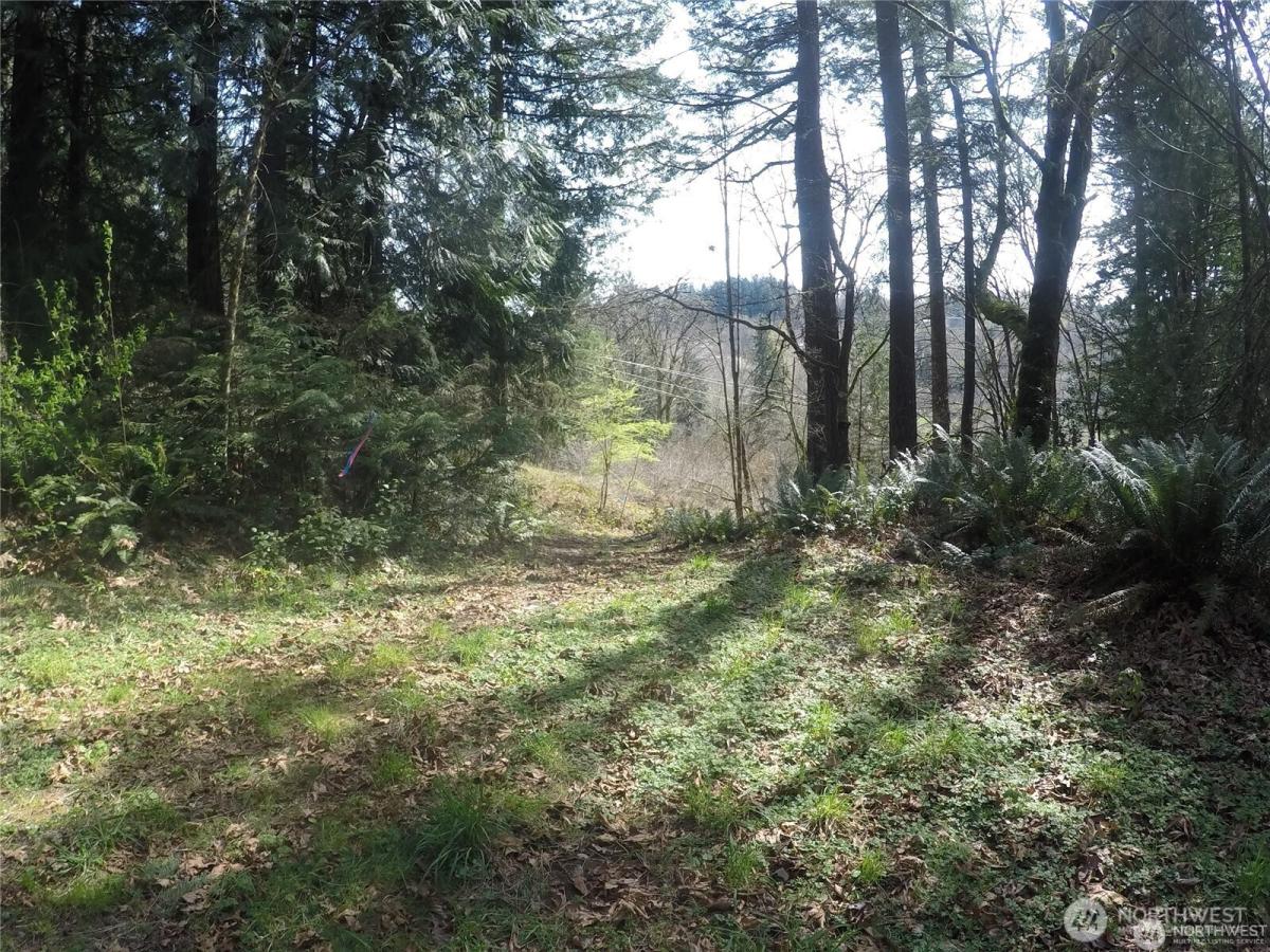 MLS #NWM2386547 image #0