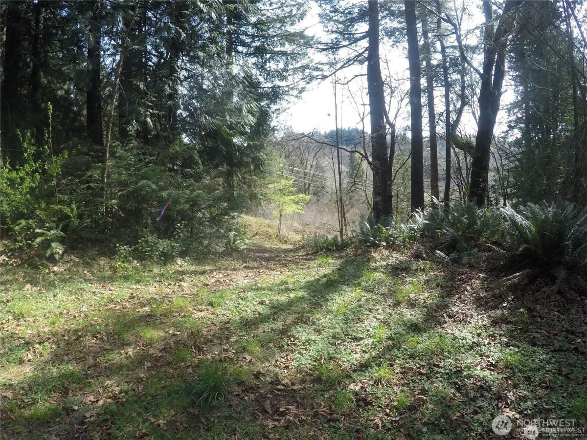 MLS #NWM2386547 image #0