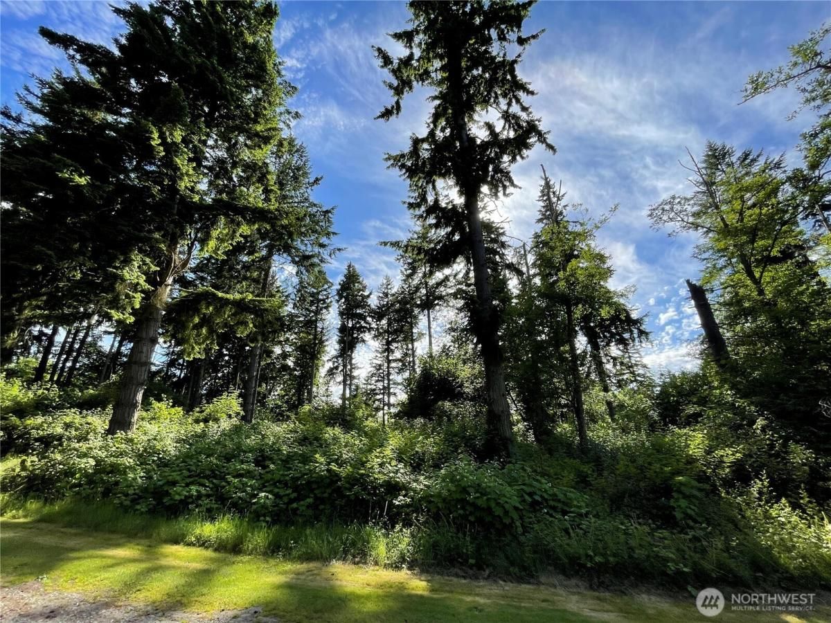 MLS #NWM2387412 image #0