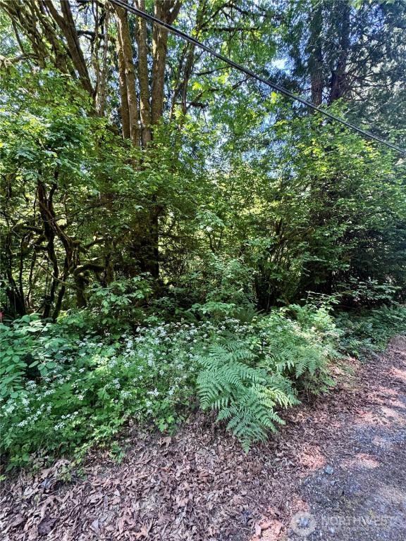 MLS #NWM2388461 image #0
