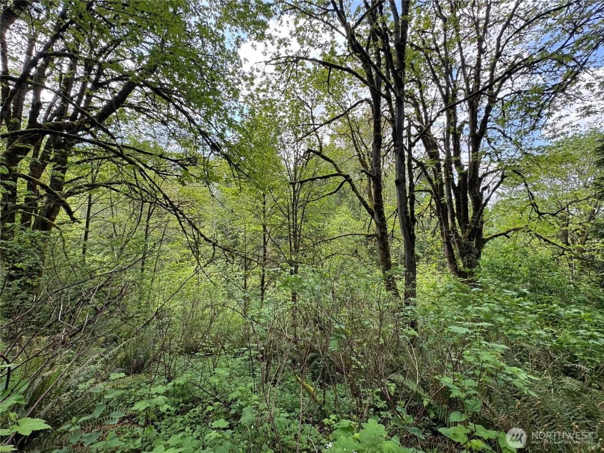 MLS #NWM2388798 image #0