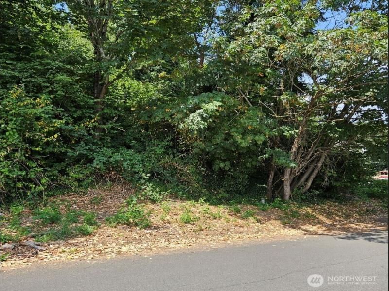 MLS #NWM2388886 image #0