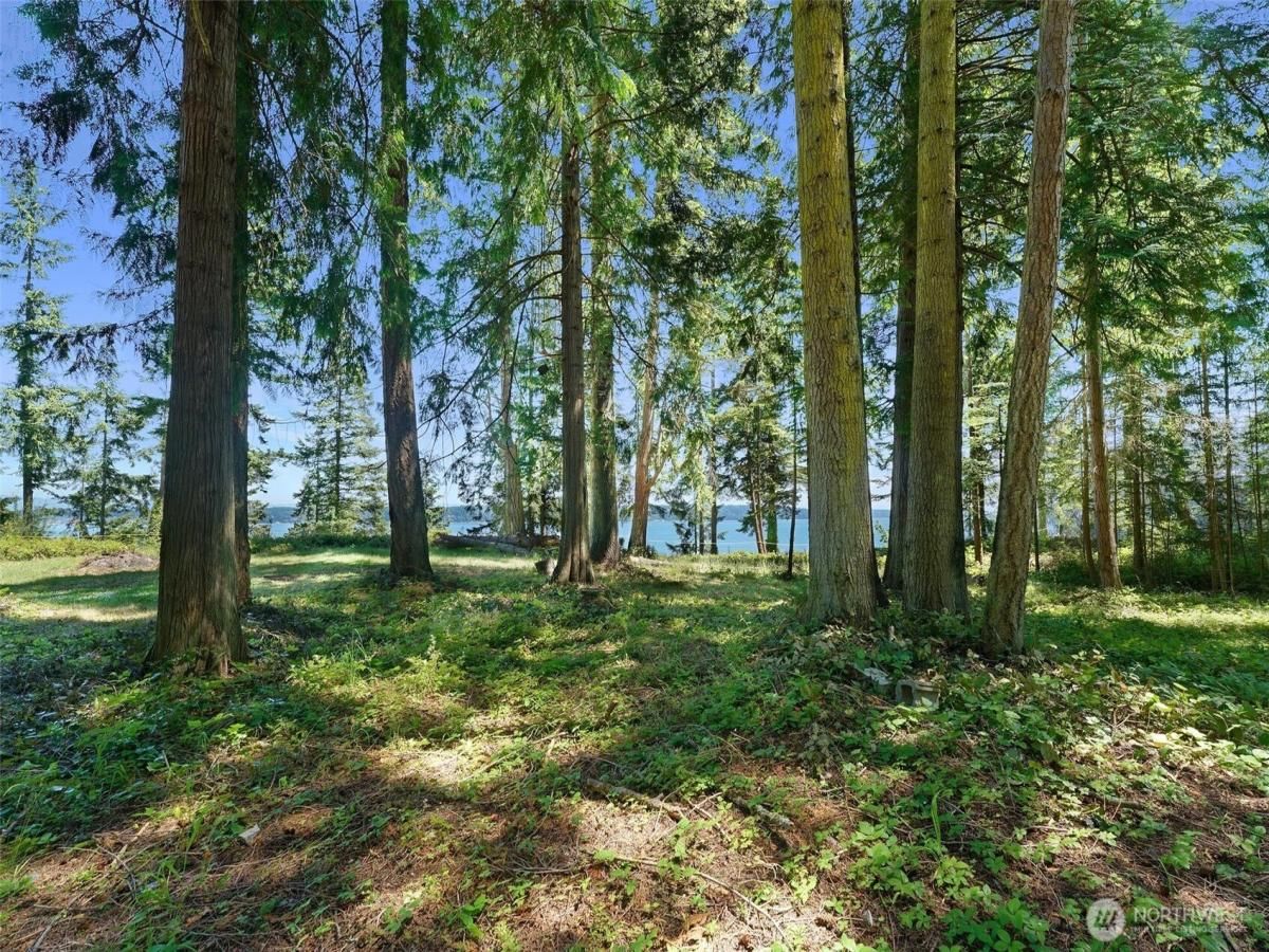 MLS #NWM2389500 image #0