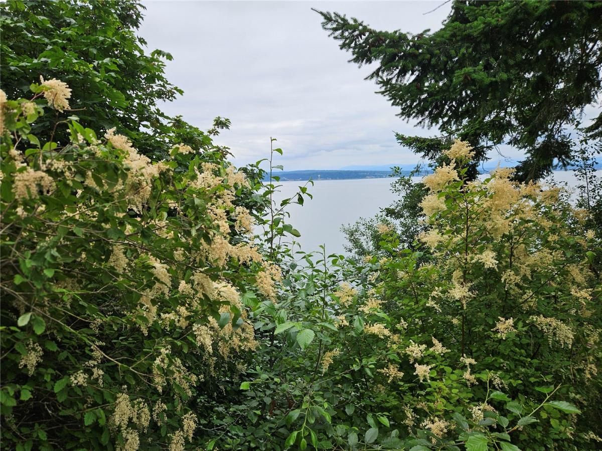 MLS #NWM2390572 image #0