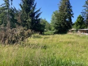 MLS #NWM2390911 image #0