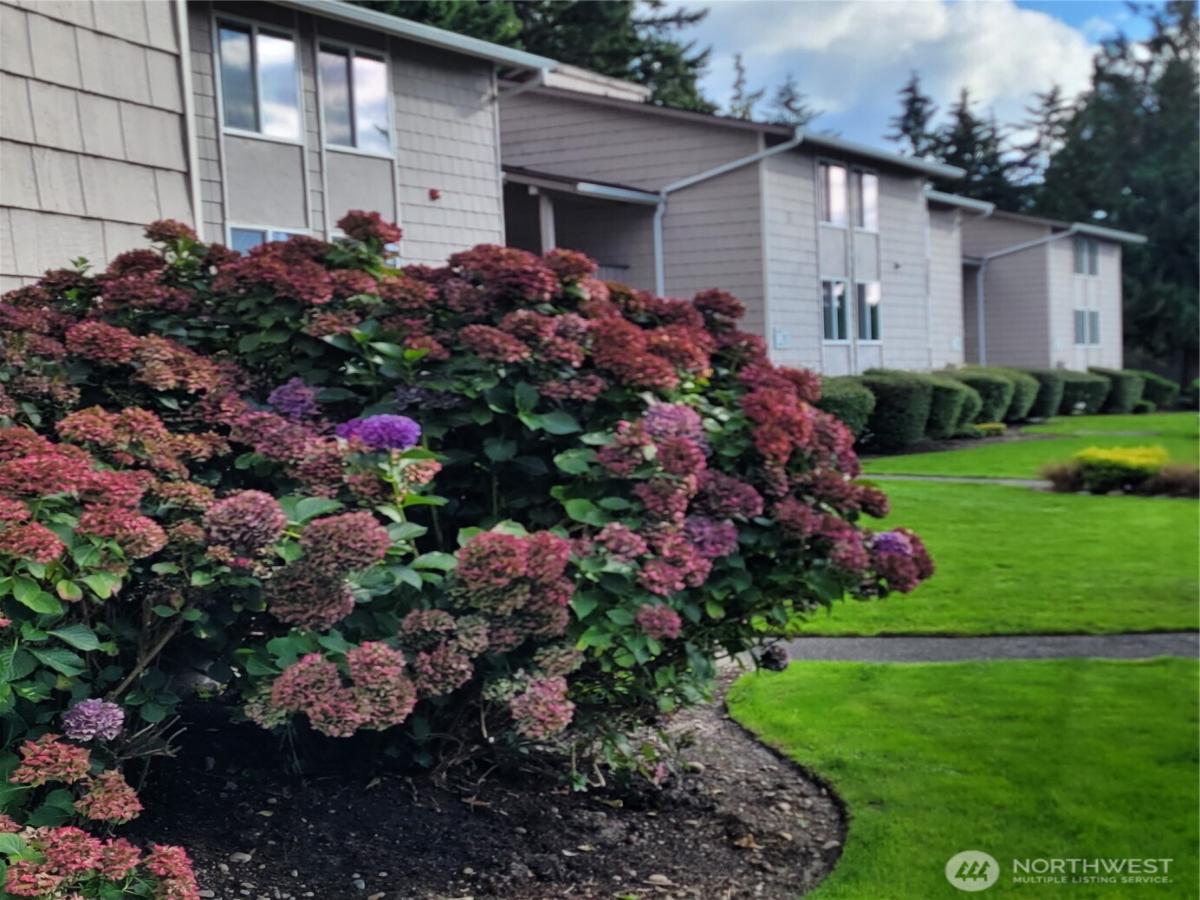 MLS #NWM2392061 image #0