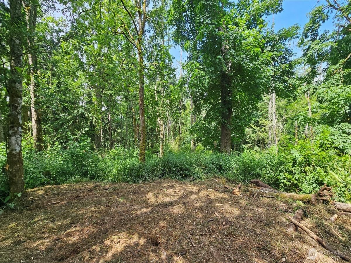MLS #NWM2394158 image #0