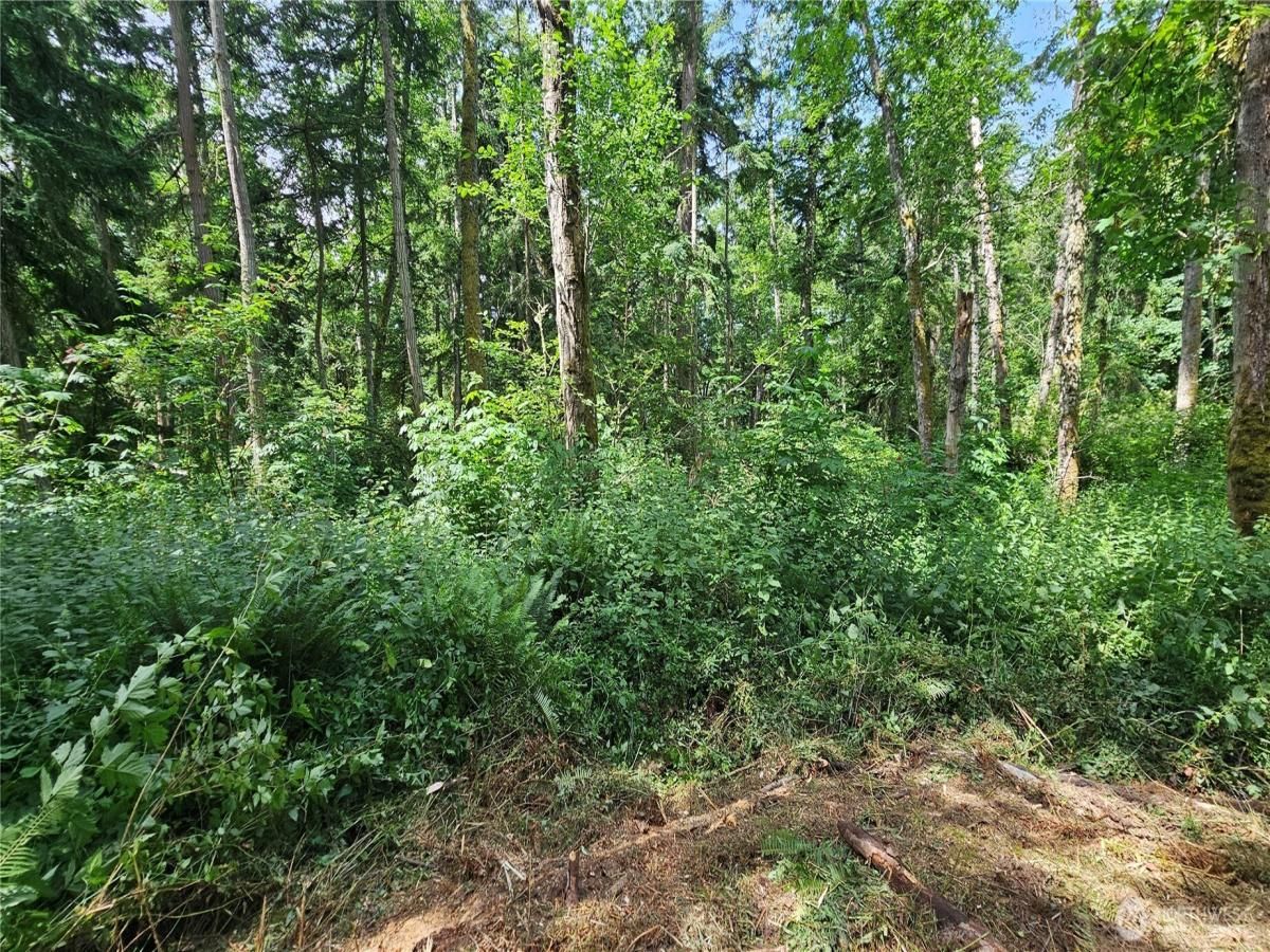 MLS #NWM2394172 image #0