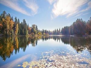 MLS #NWM2396772 image #0