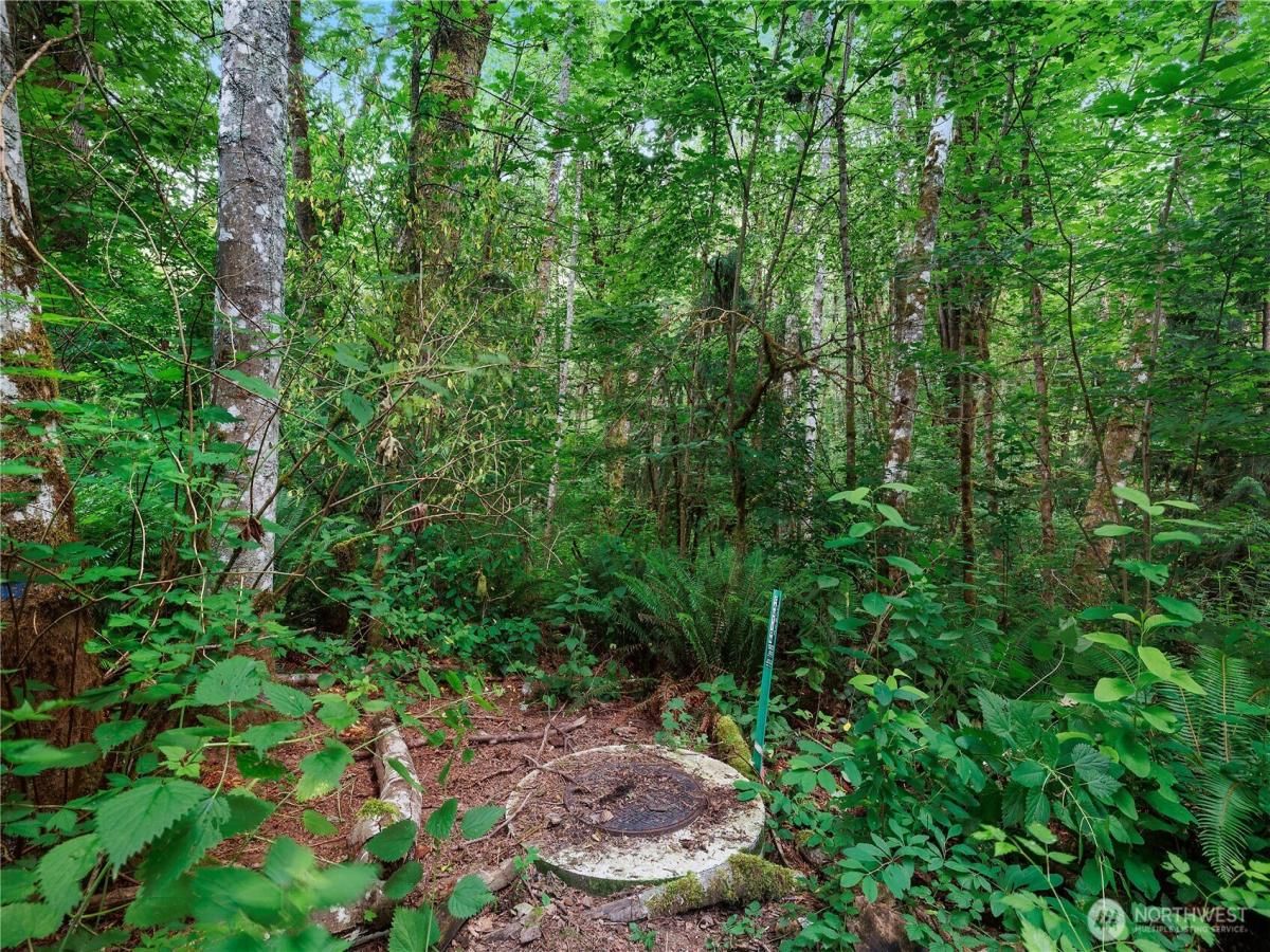 MLS #NWM2397486 image #0