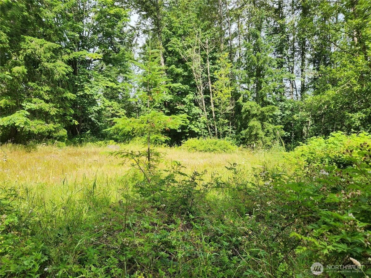 MLS #NWM2402485 image #0