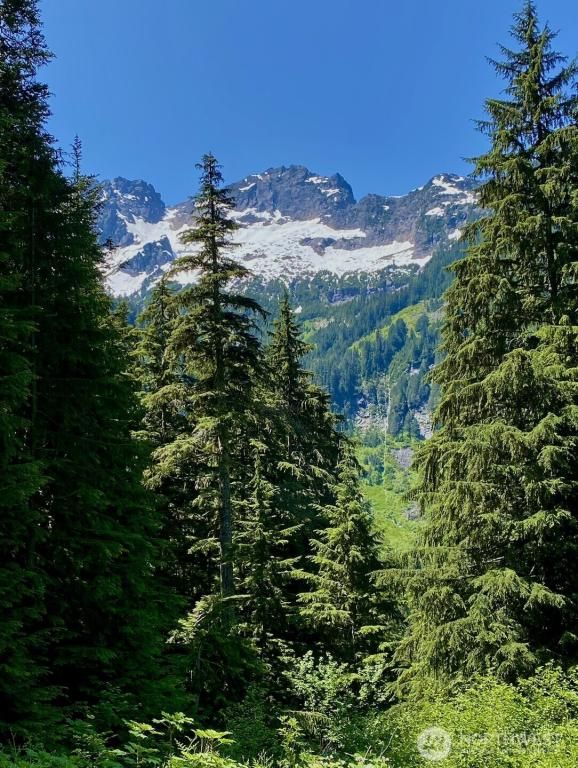 MLS #NWM2406879 image #0